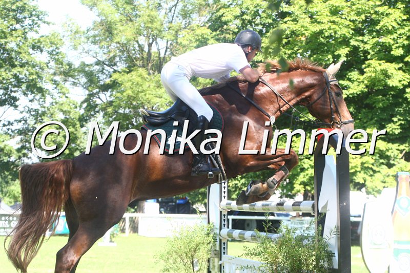 308M2282_Maeverick_Spring Mxx.JPG